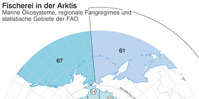 Karte: Fischerei in der Arktis