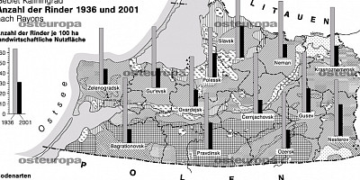 Karte: Kaliningrad: Anzahl der Rinder 1936 und 2001